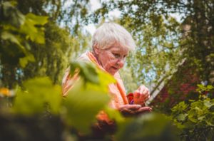 Gesundheitstipps für ältere Erwachsene & Senioren